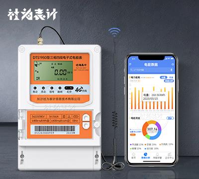 社為DTS1980三相4G智能電表